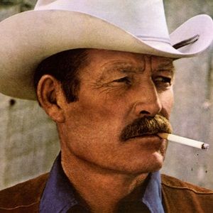 Meet your Posher, Markoe